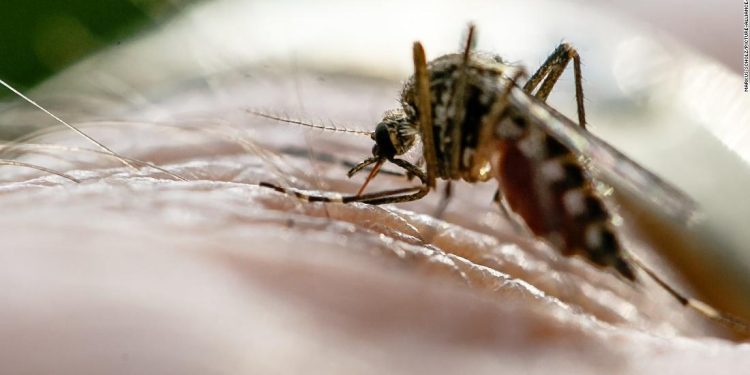 Africa’s Ongoing Battle Against Malaria: Progress, Challenges, and Implications for 2024