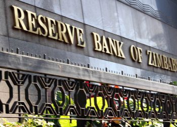 Zimbabwe’s Informal Traders Shun Declining Zimdollar as Launch of New Currency, ZIG, Faces Delay