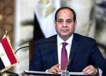 Al-Sisi’s Egypt: Balancing Power and Criticism Amidst Infrastructure Surge