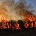 Fires Deployed in Sudan as Weapons Destroyed More Towns Than Ever in April, Study Finds