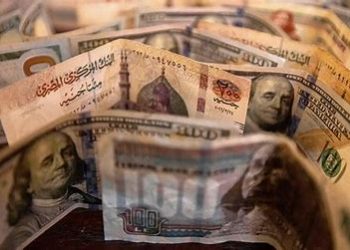 Egyptian Pound Nears 50 Per U.S. Dollar Amid Rising Metro Fares and Fuel Prices