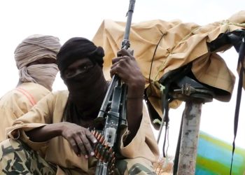 Fifteen Malian Soldiers Killed in Jihadist Ambush Near Diallassagou