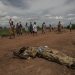 Thousands Flee as Violence Intensifies in Sudan’s Al-Jazirah State